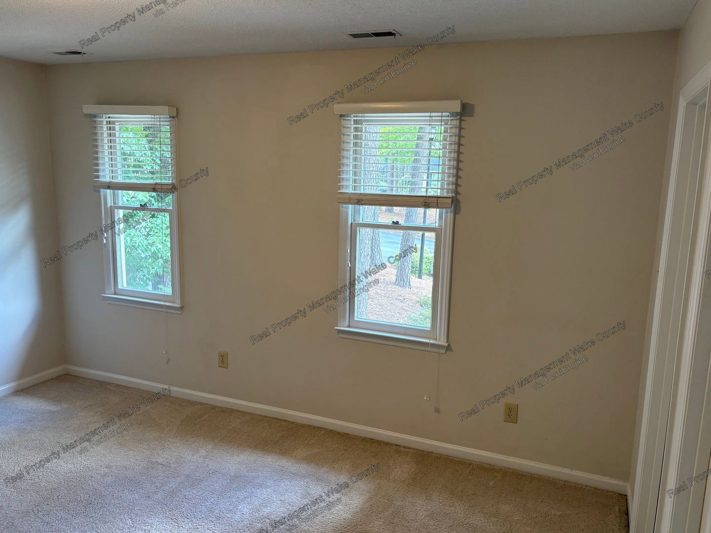 Gallery Image 19