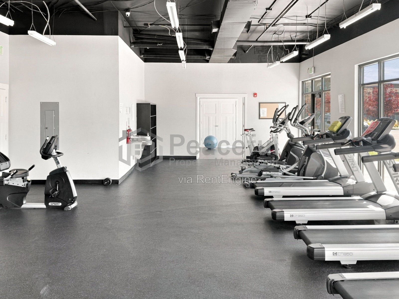 Gallery Image 17