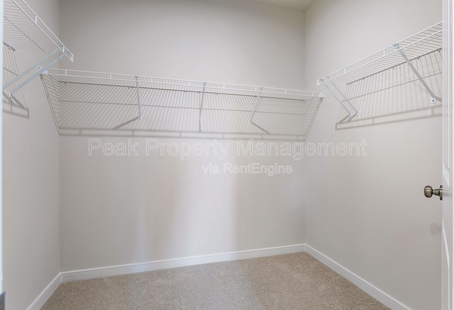 Gallery Image 19