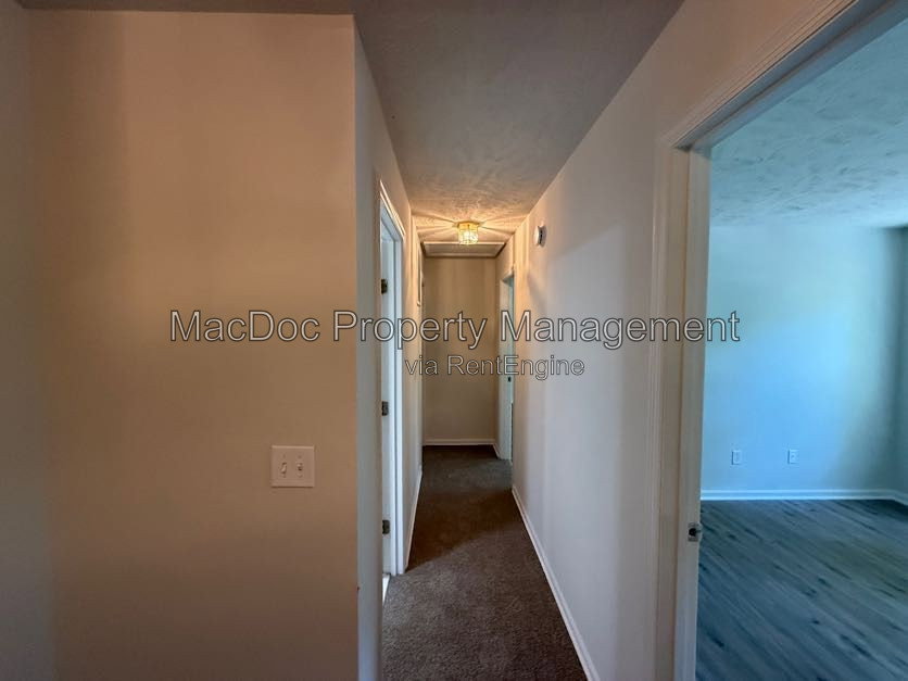 Gallery Image 16