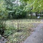 Gallery Image 27