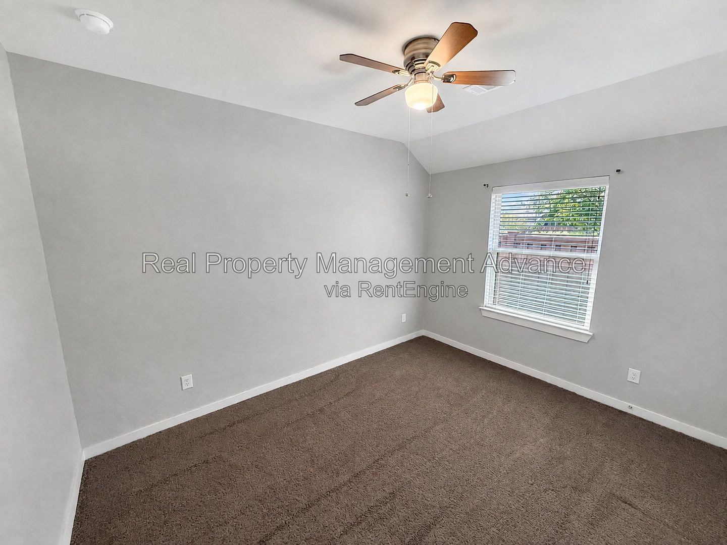 Gallery Image 19