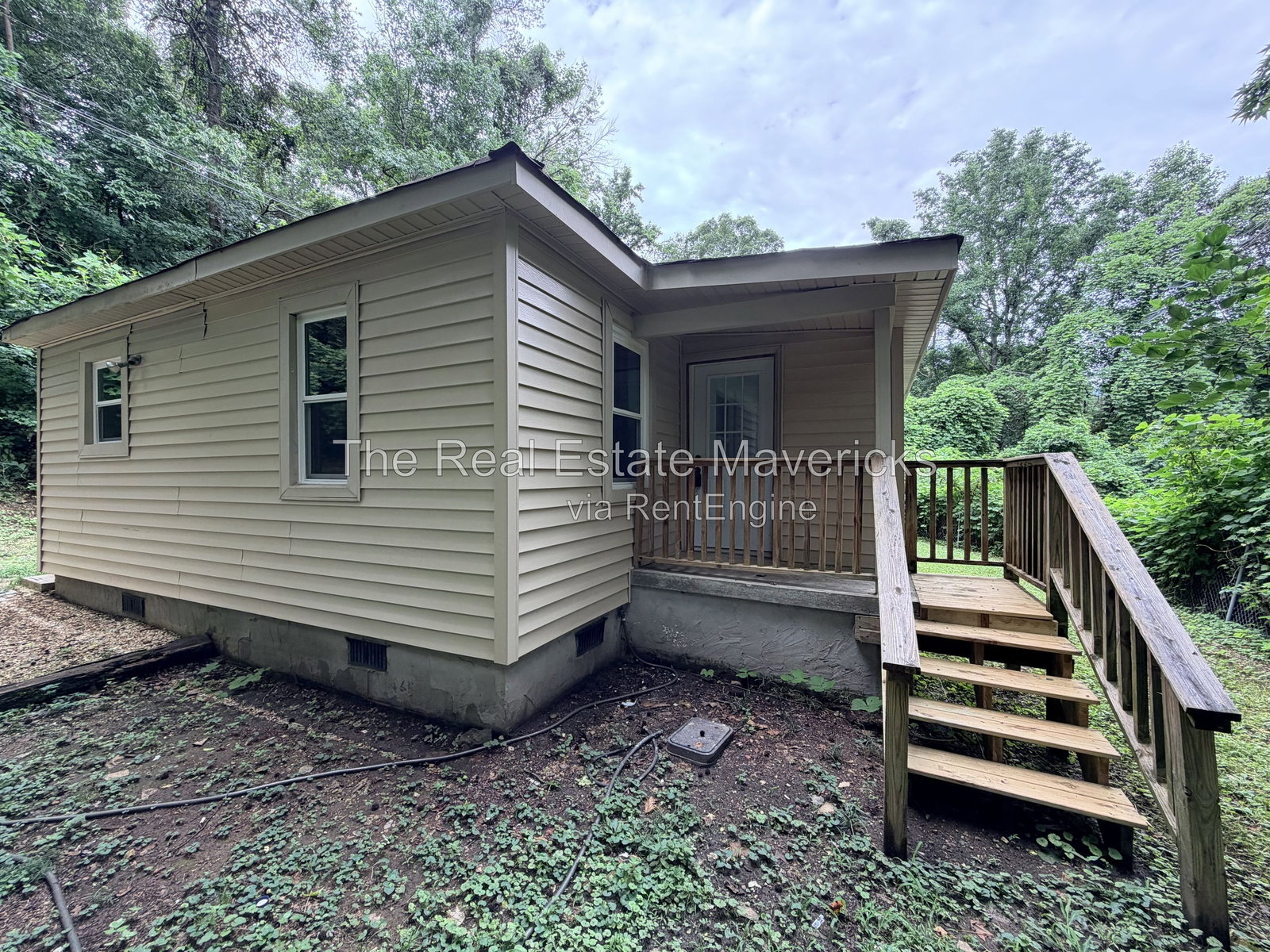 Gallery Image 0