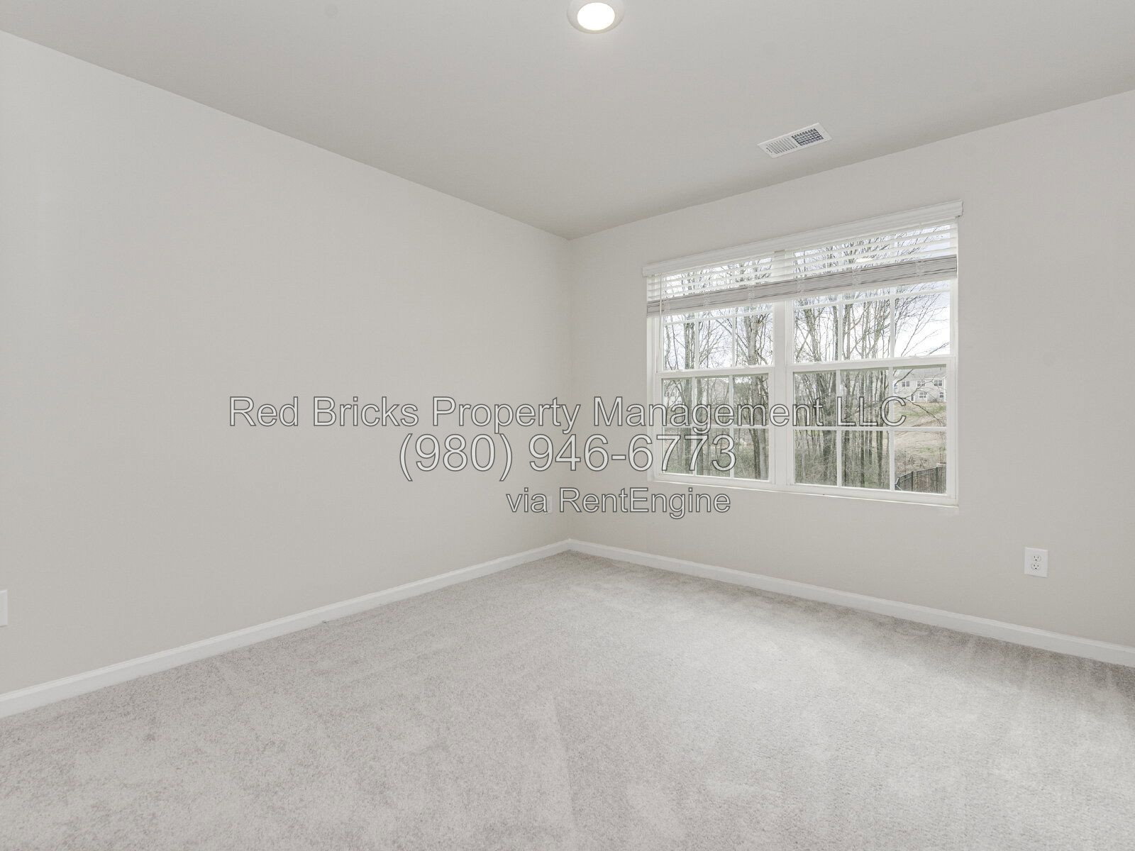 Gallery Image 19