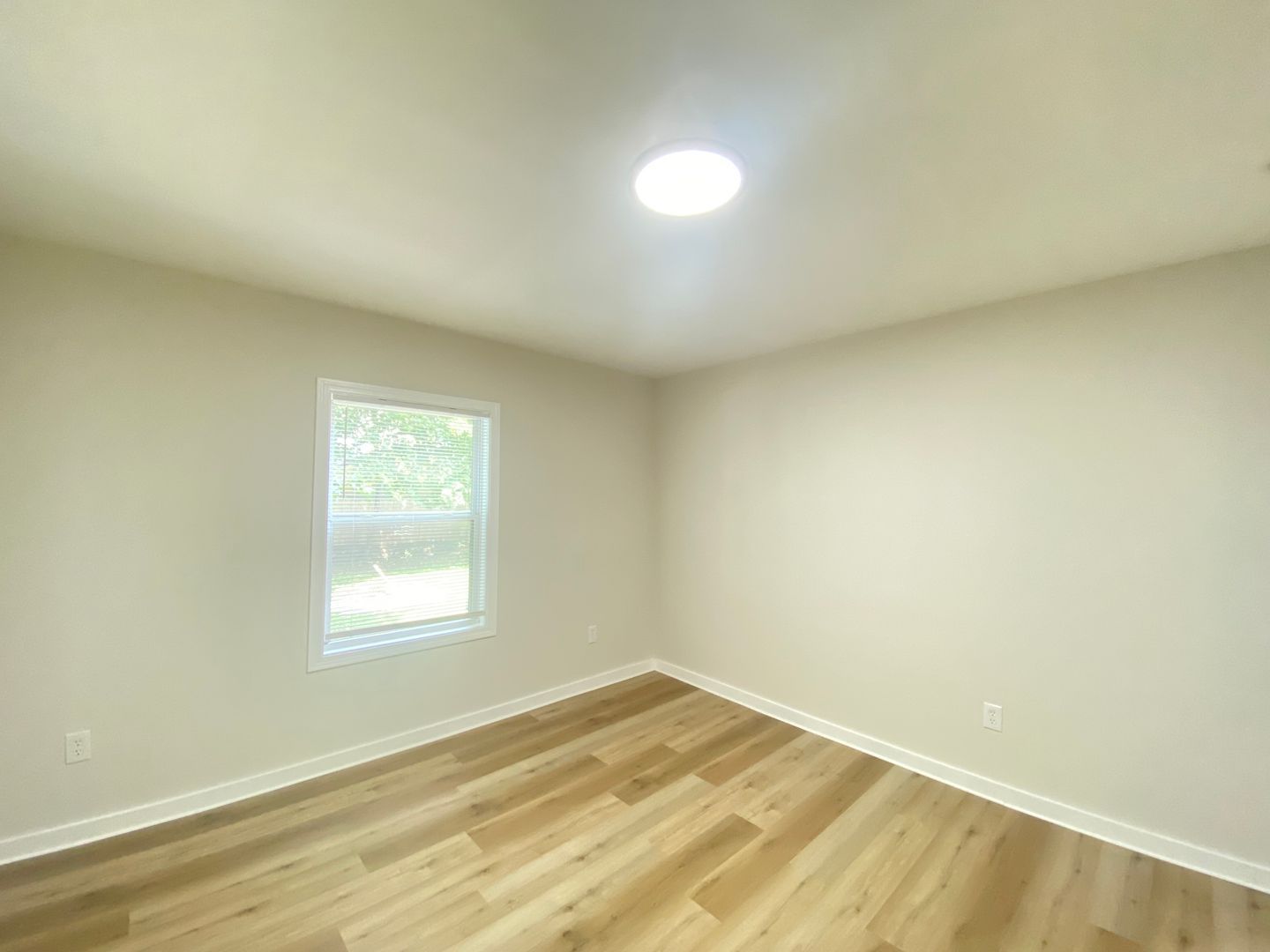 Gallery Image 17