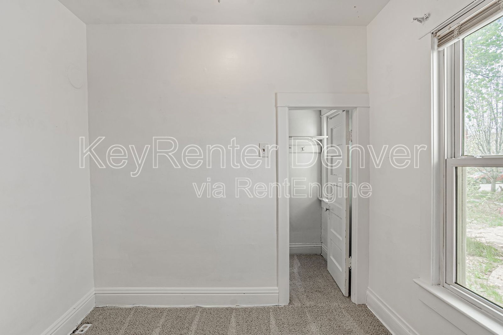 Gallery Image 19
