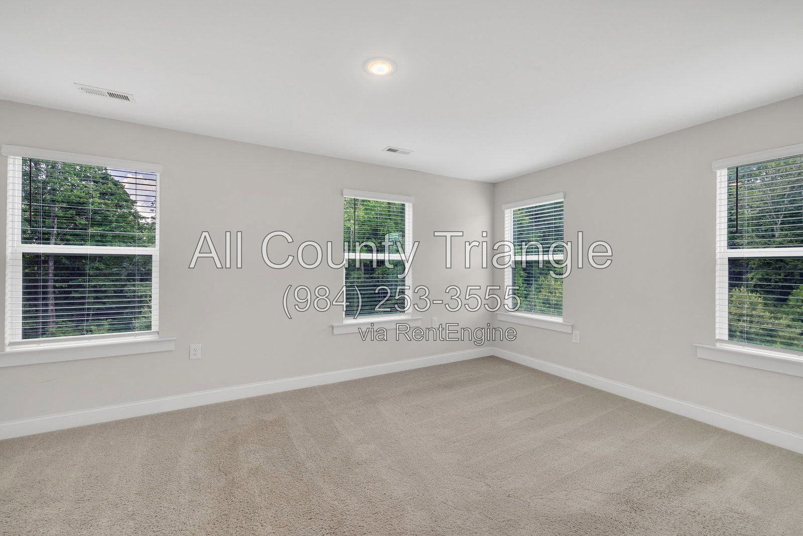 Gallery Image 21