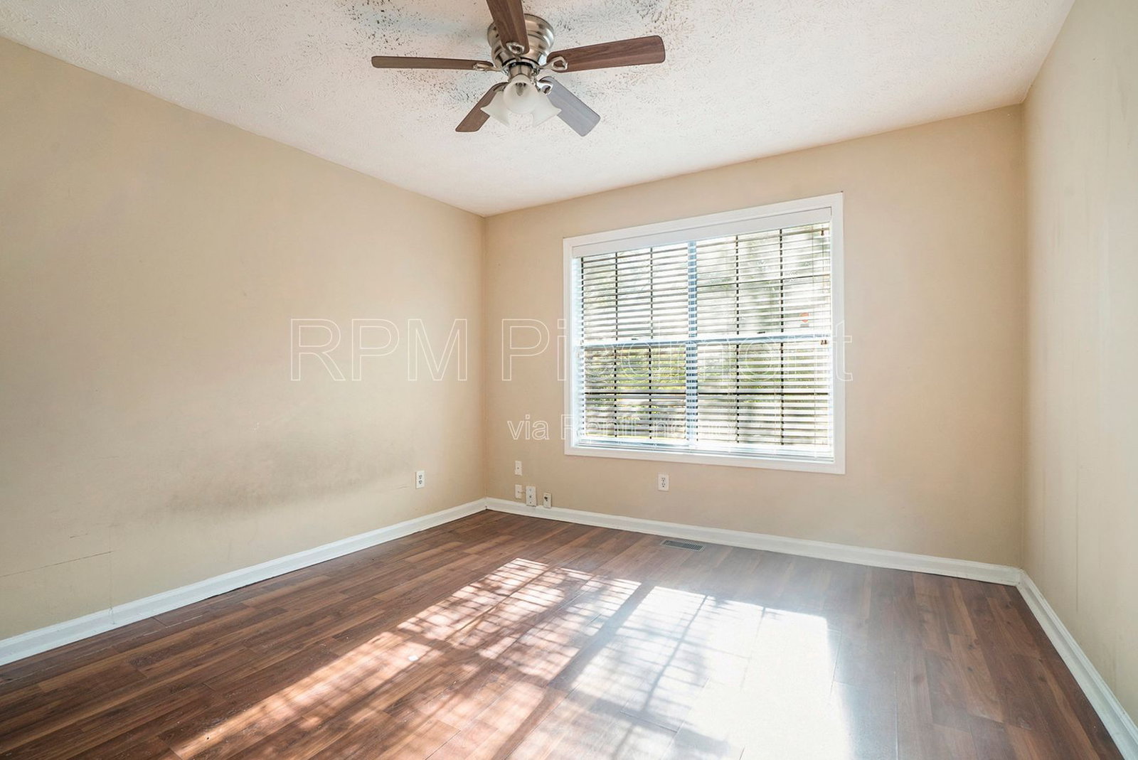 Gallery Image 18