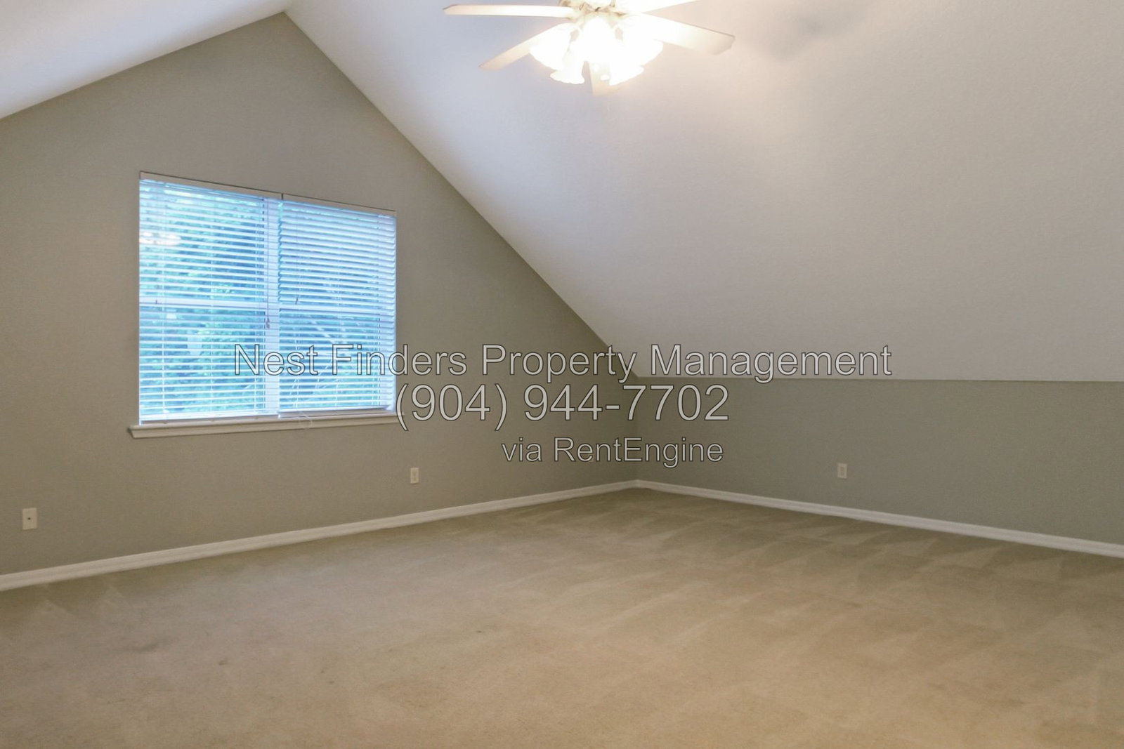 Gallery Image 42