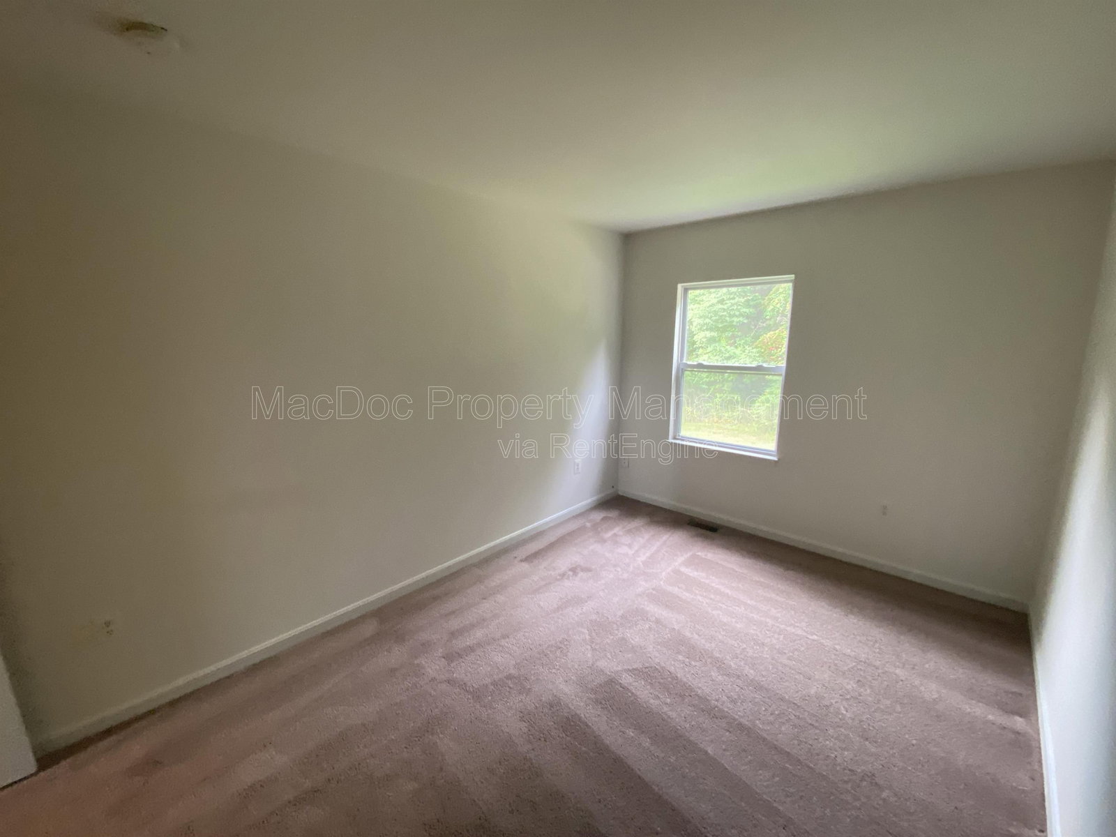 Gallery Image 22