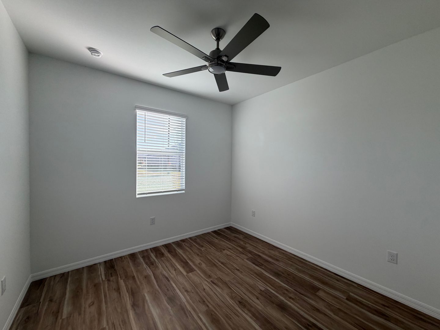Gallery Image 20