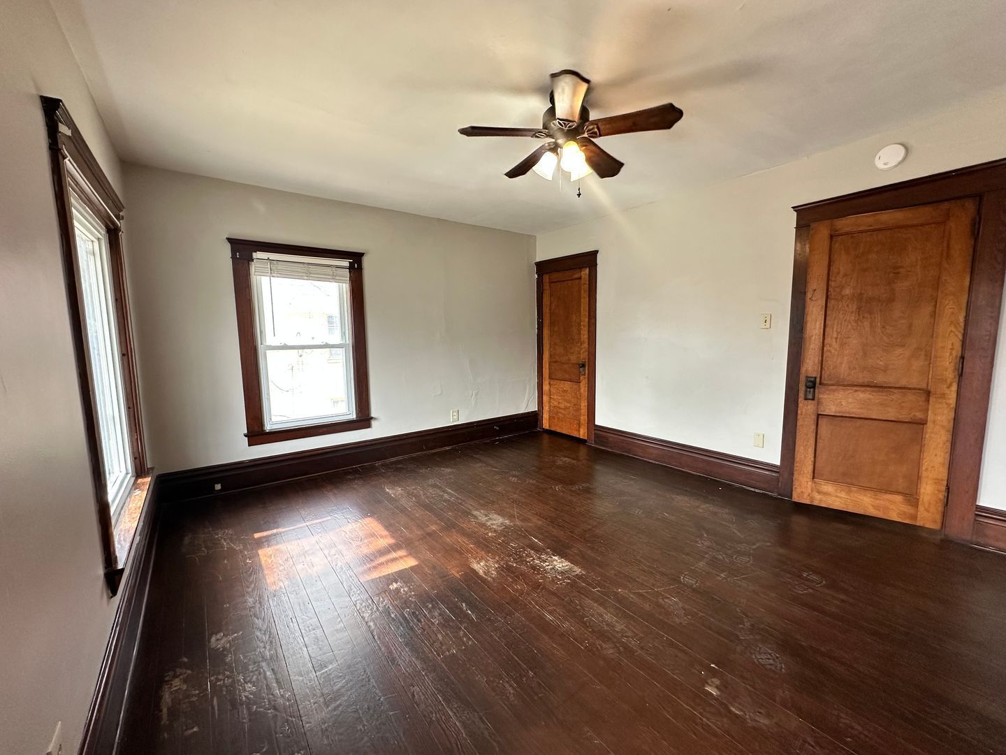 Gallery Image 16