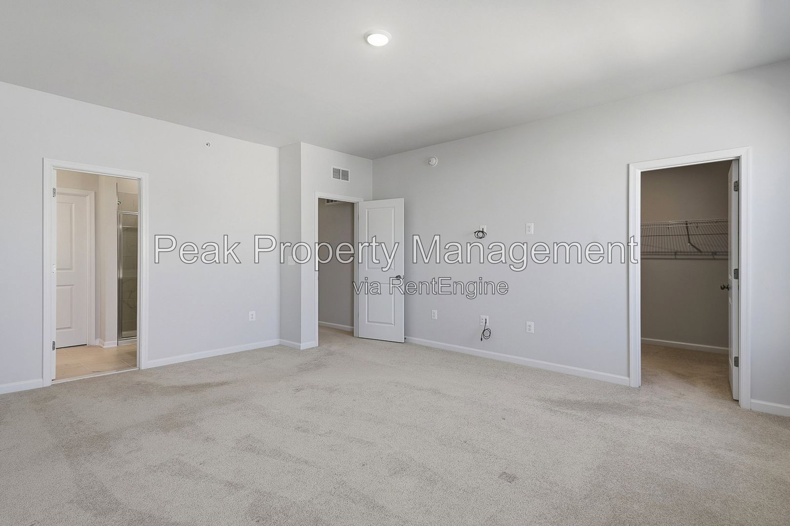 Gallery Image 19