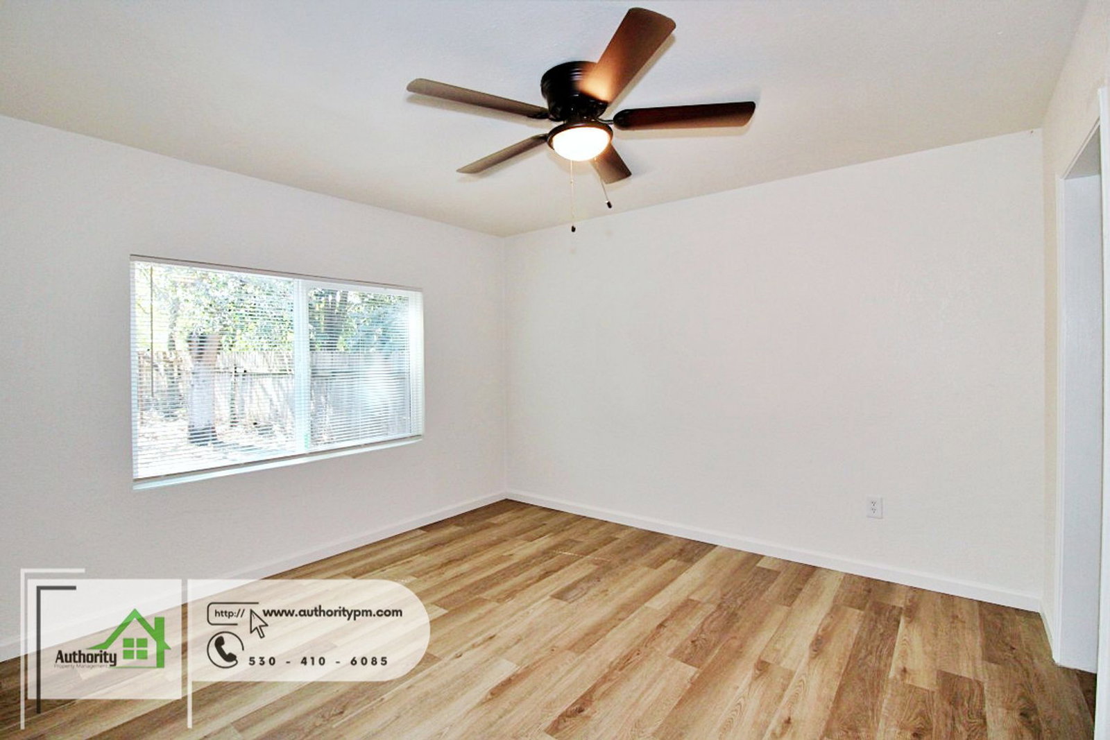 Gallery Image 8