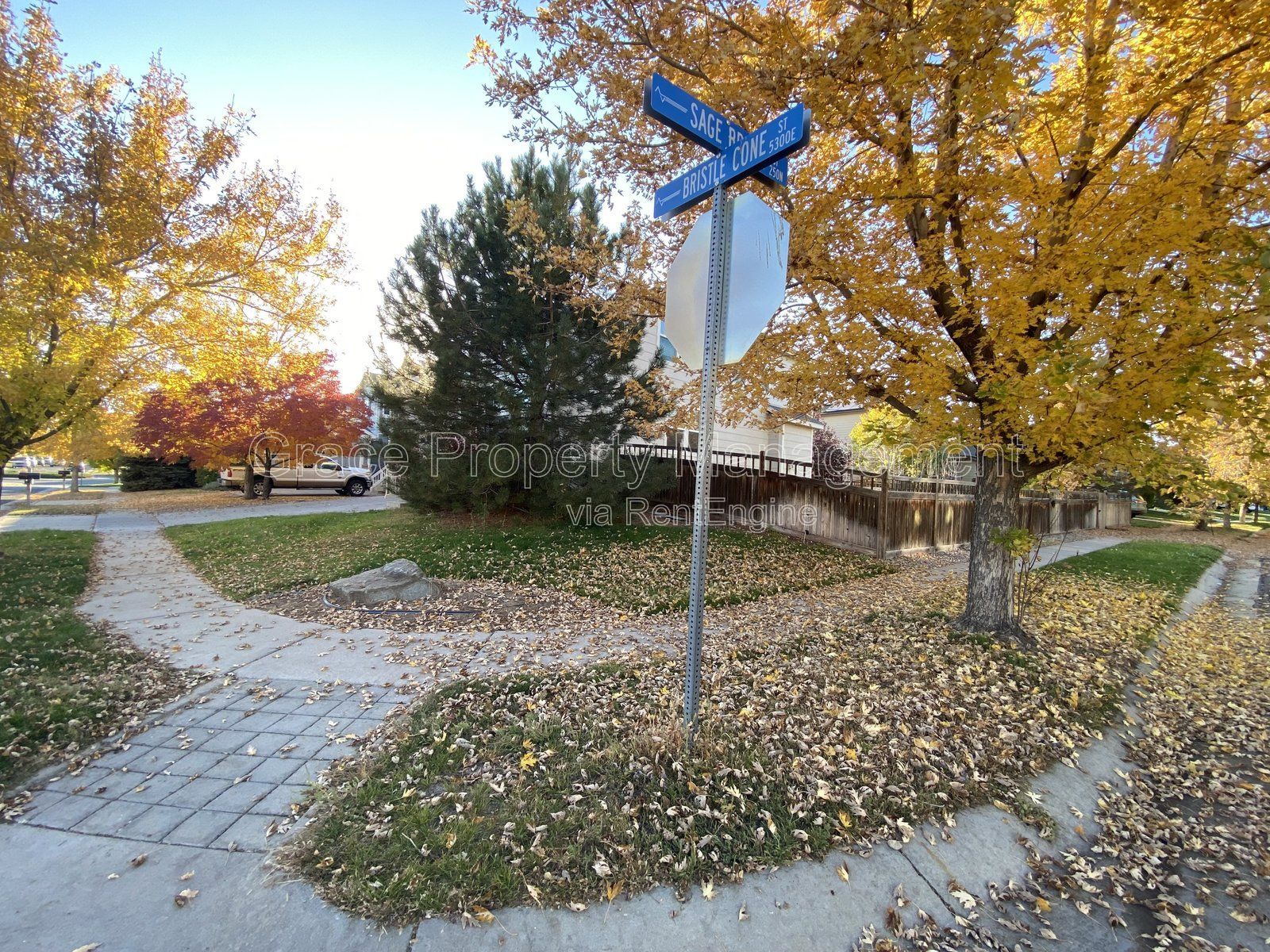 Gallery Image 38