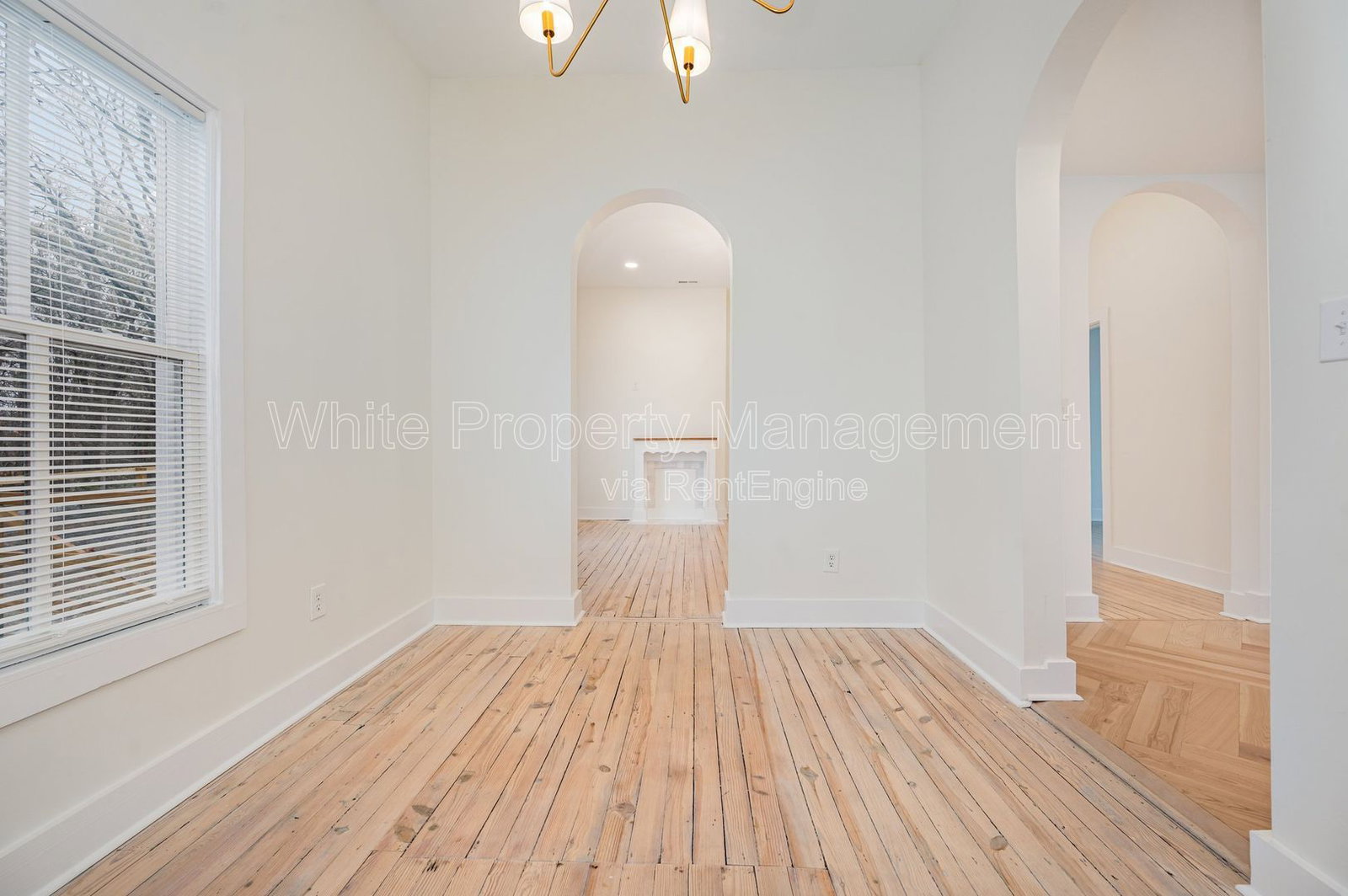 Gallery Image 20
