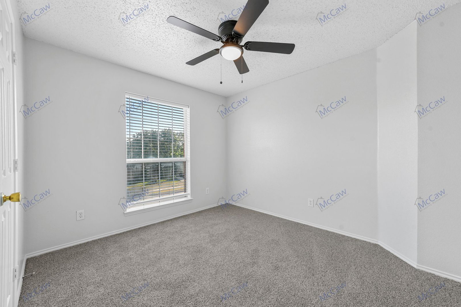 Gallery Image 22