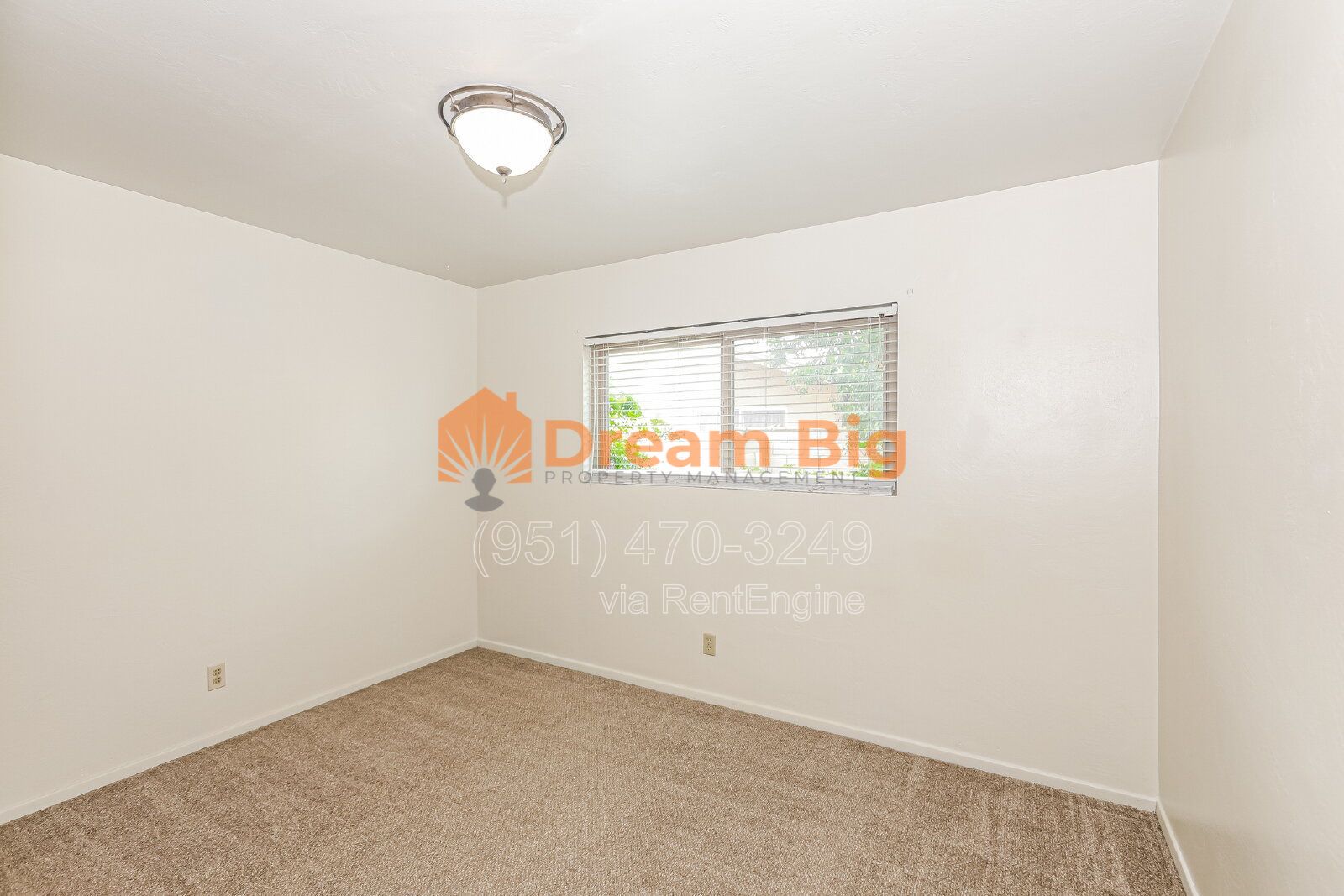 Gallery Image 28