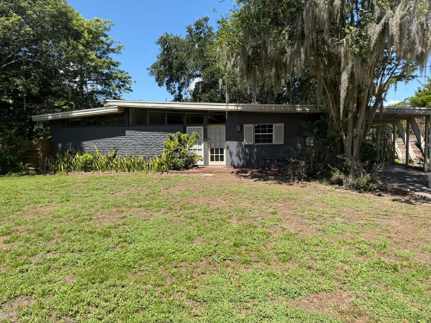 Gallery Image 0