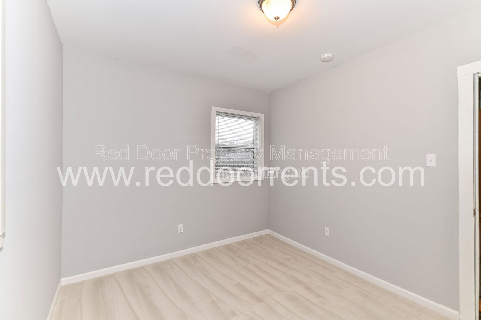 Gallery Image 19