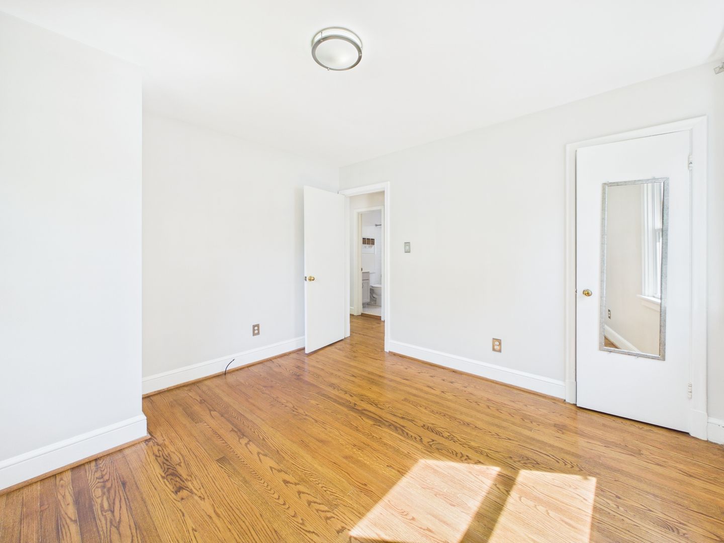 Gallery Image 15