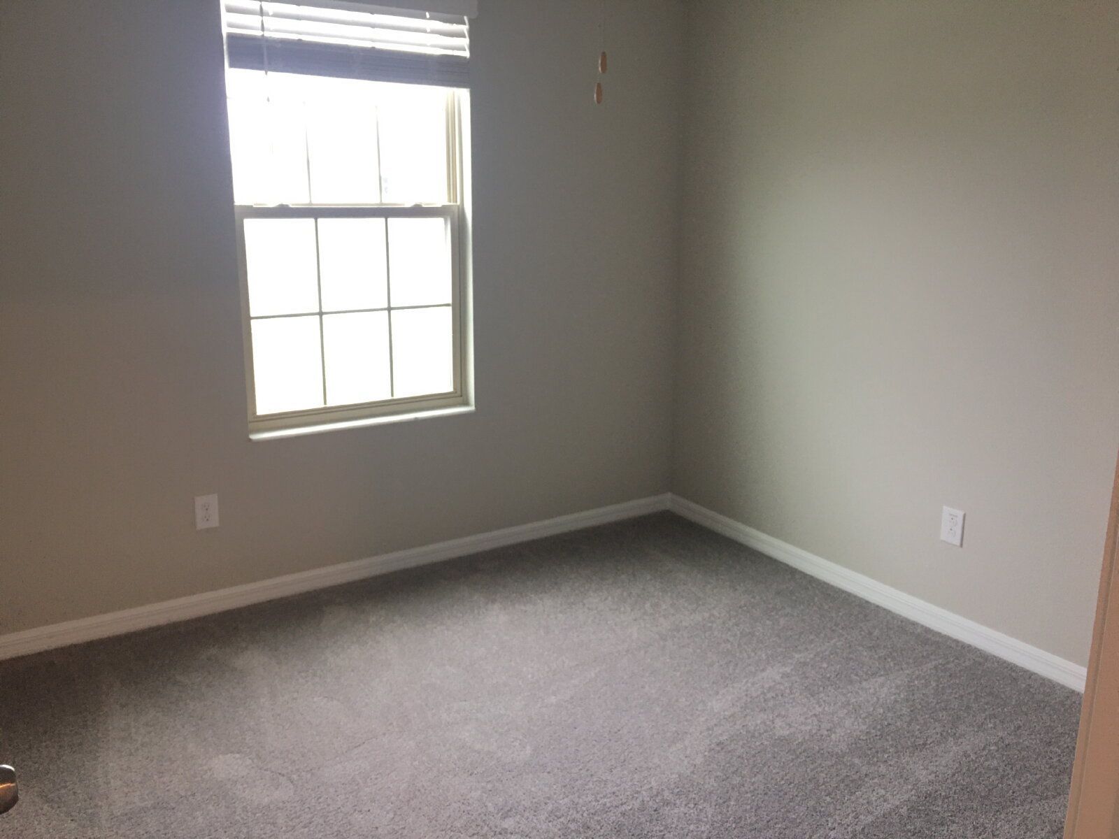 Gallery Image 24