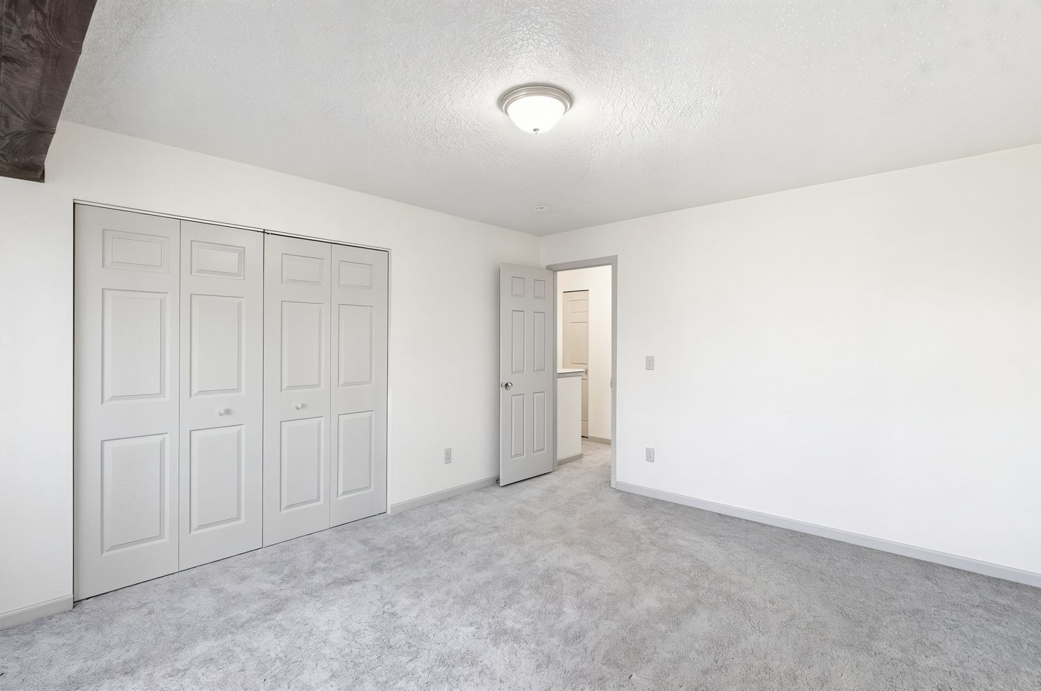 Gallery Image 19