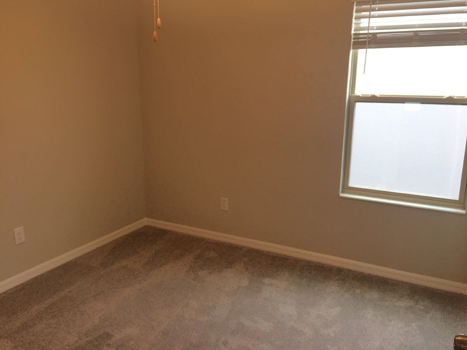 Gallery Image 20
