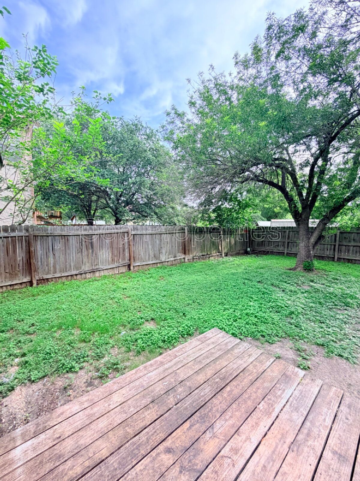 Gallery Image 22