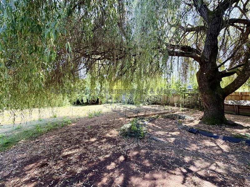 Gallery Image 41