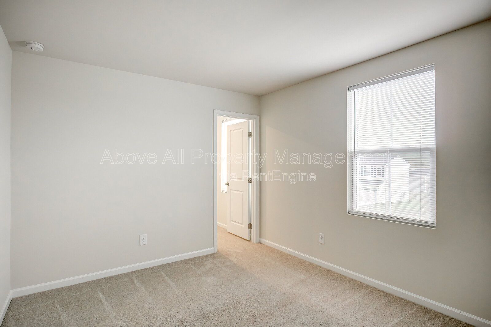 Gallery Image 31