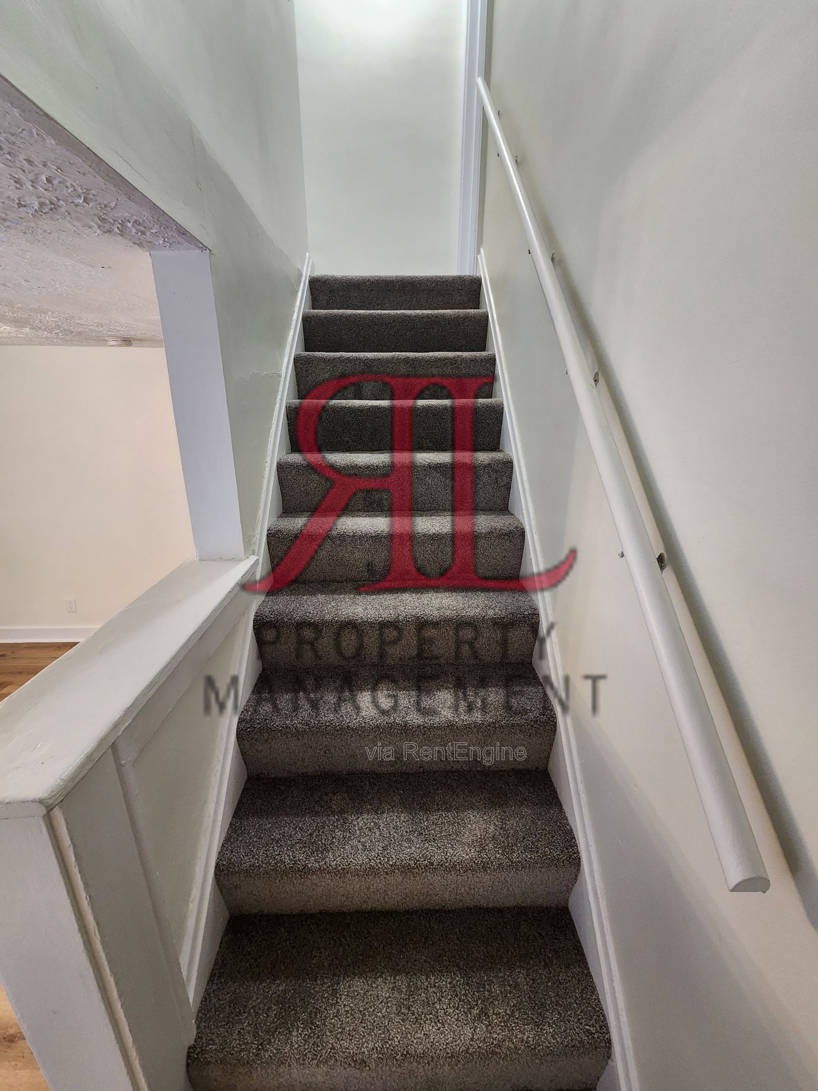 Gallery Image 16