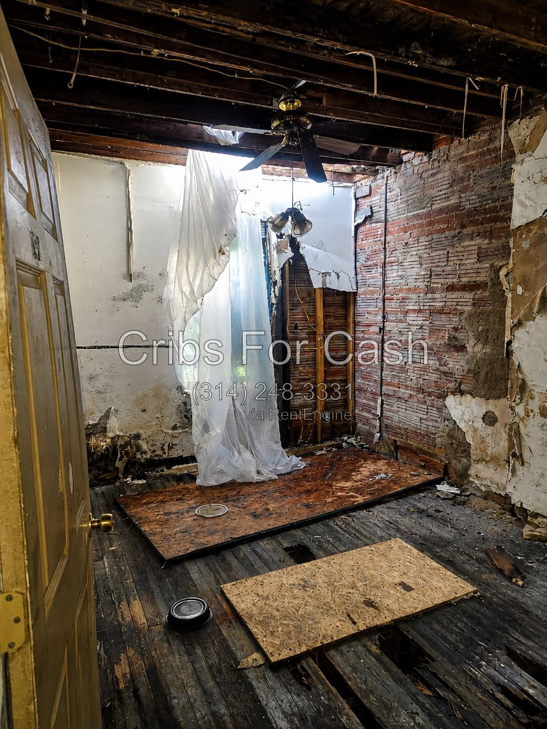 Gallery Image 19
