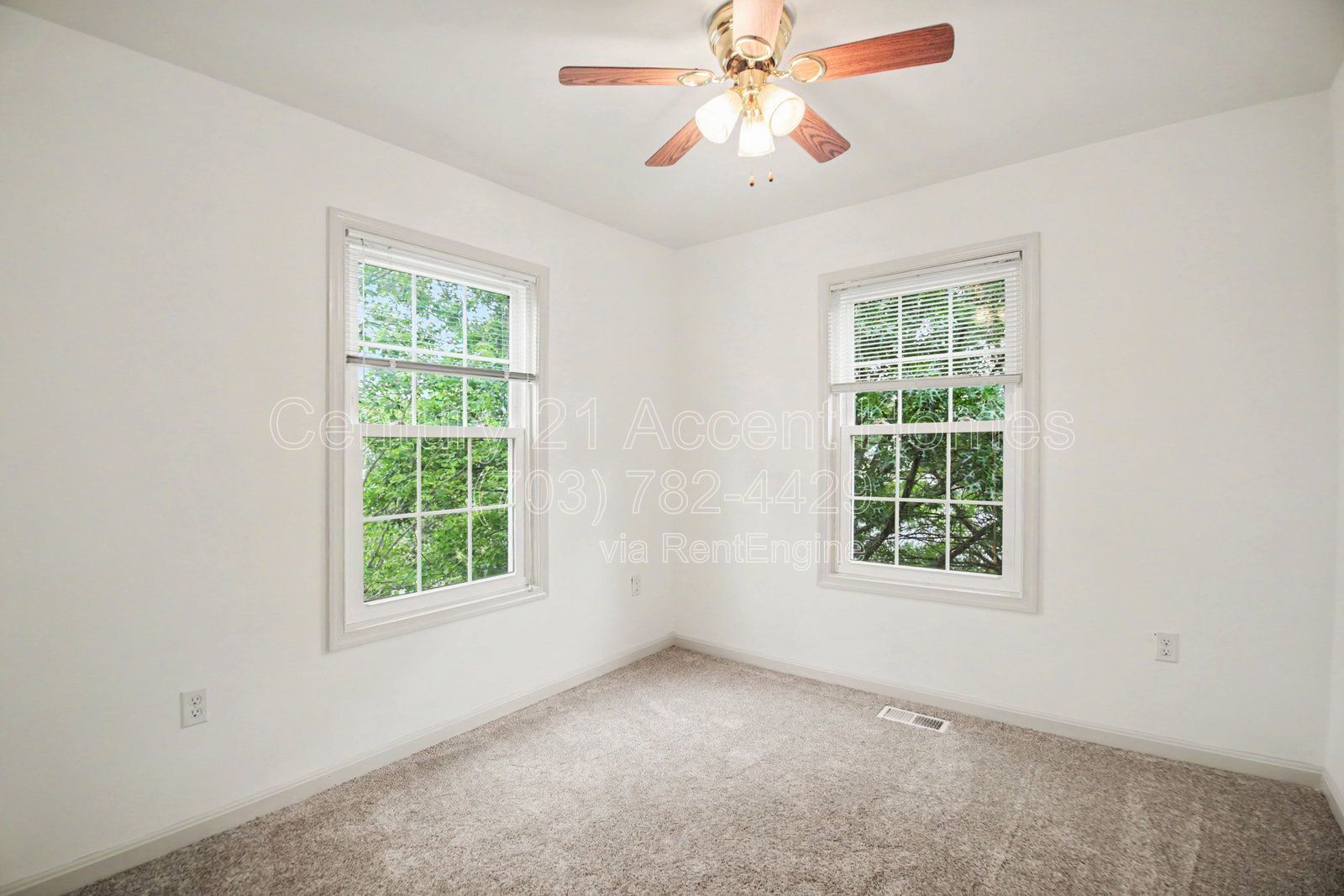 Gallery Image 19