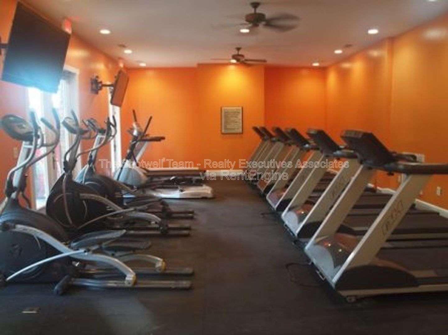 Gallery Image 16