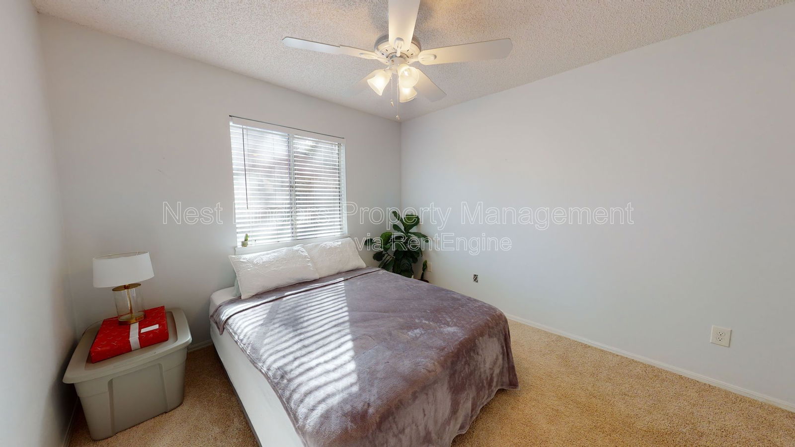 Gallery Image 20