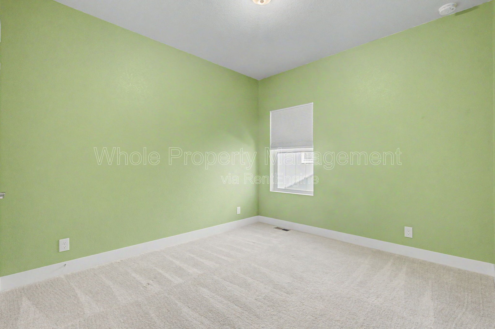 Gallery Image 20