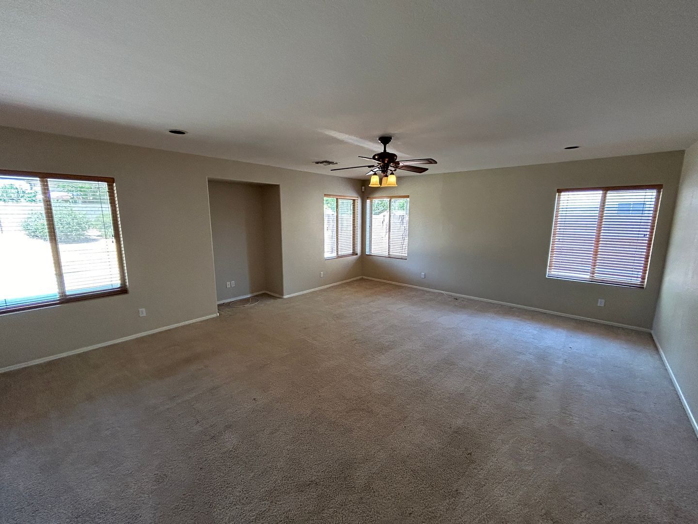 Gallery Image 19