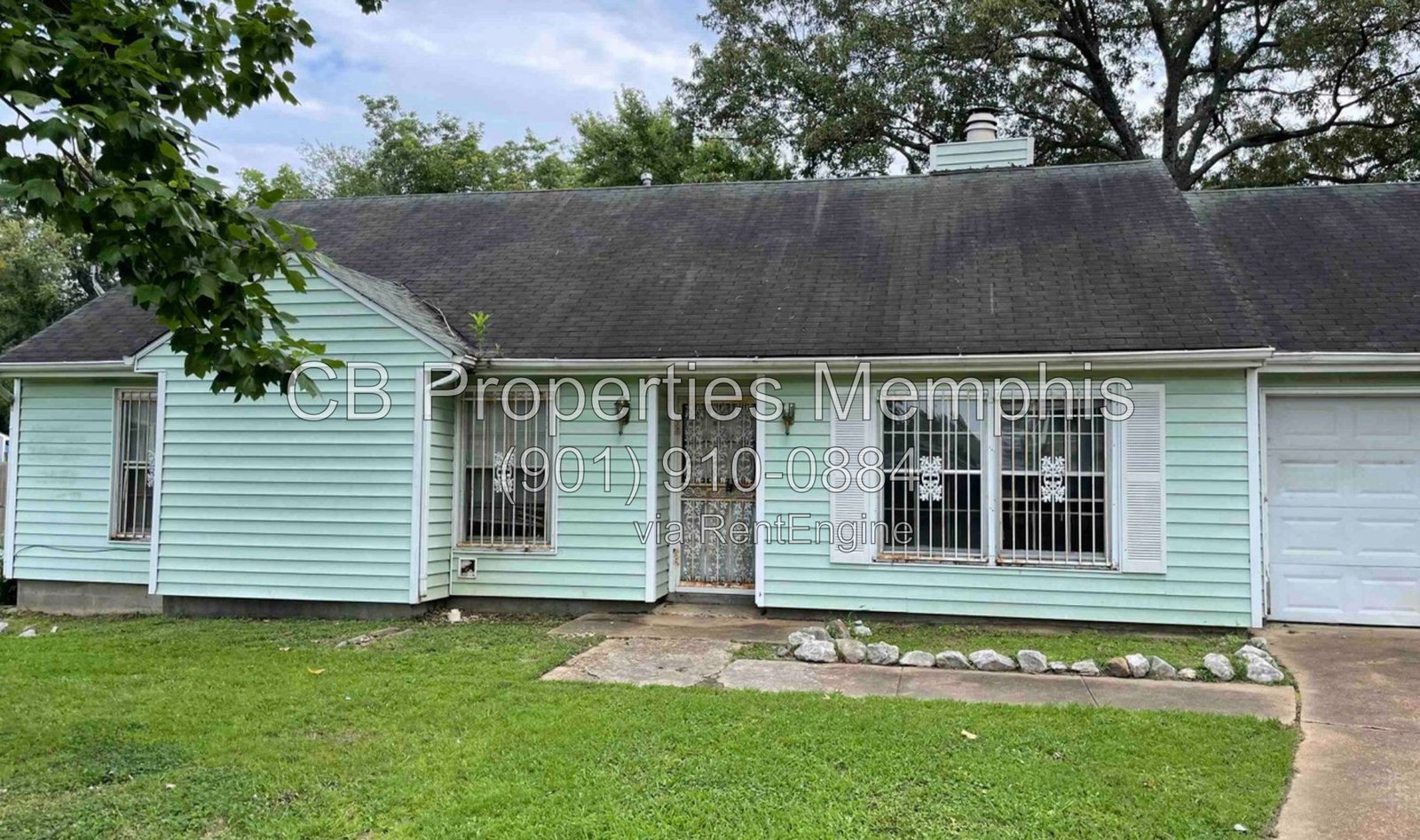 Gallery Image 0