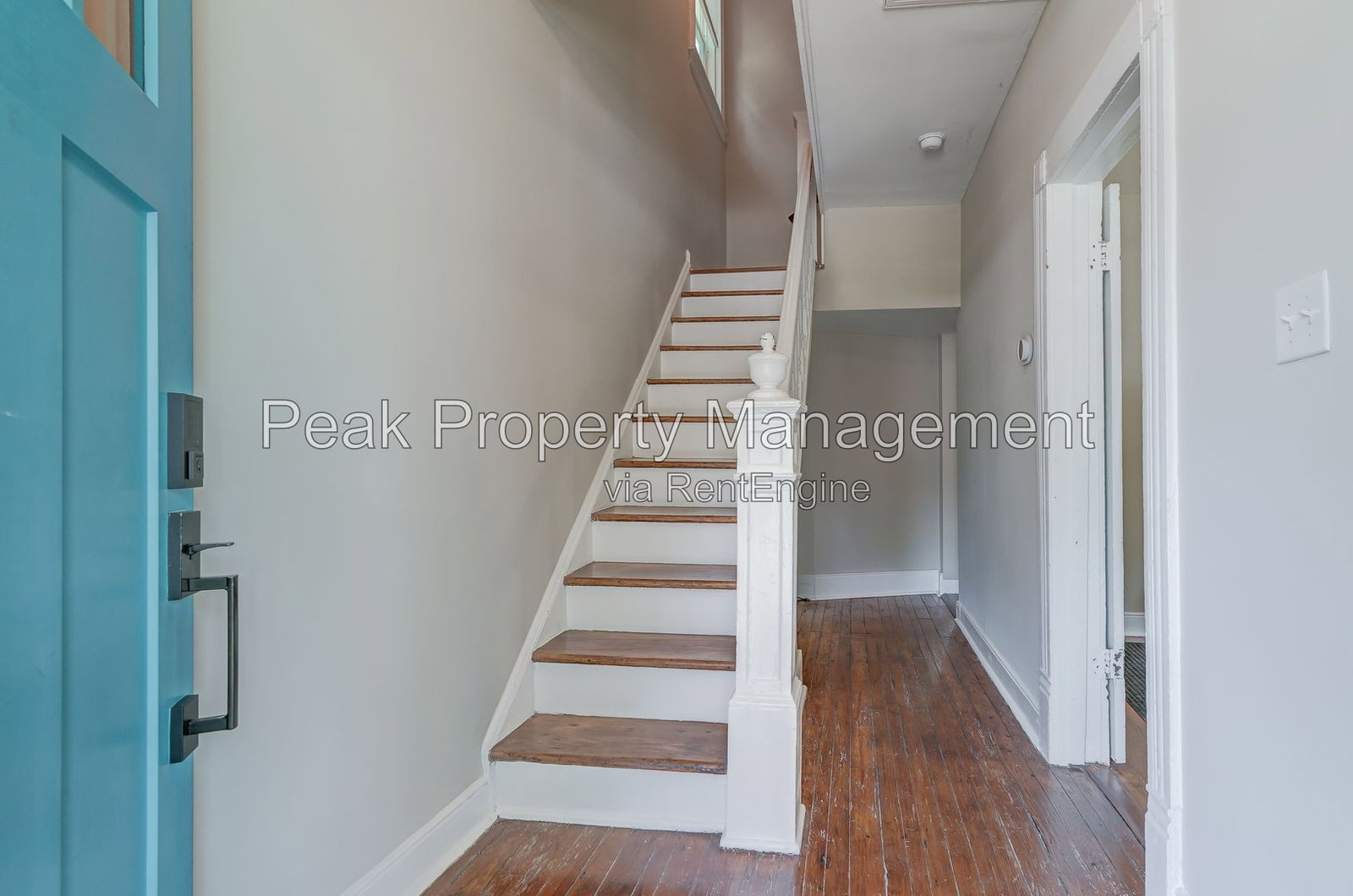 Gallery Image 15