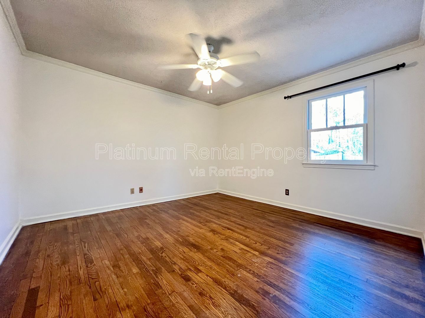 Gallery Image 19