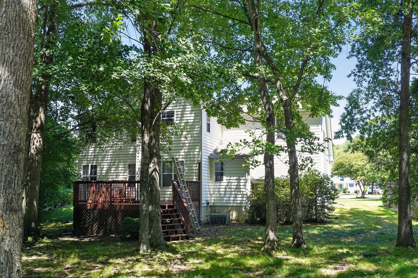 Gallery Image 13