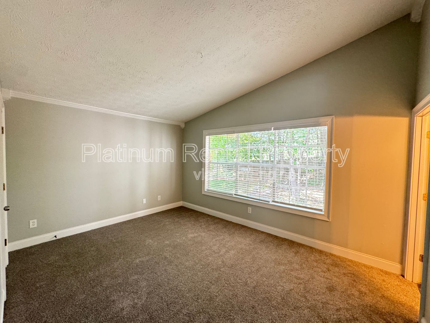 Gallery Image 18