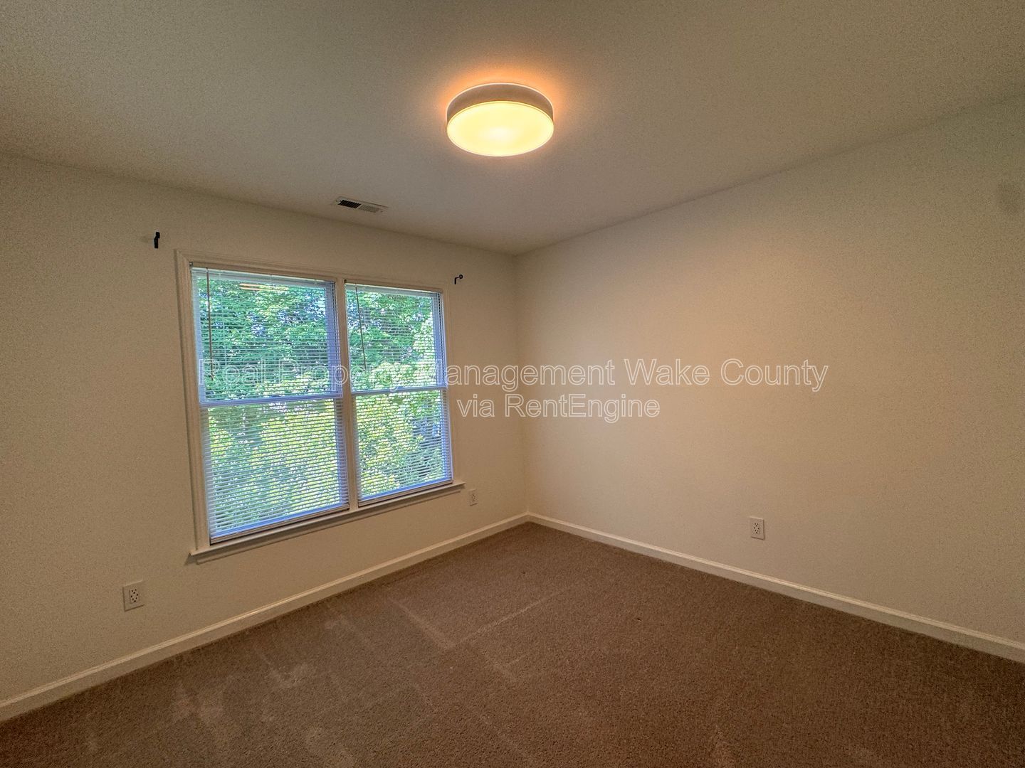 Gallery Image 41