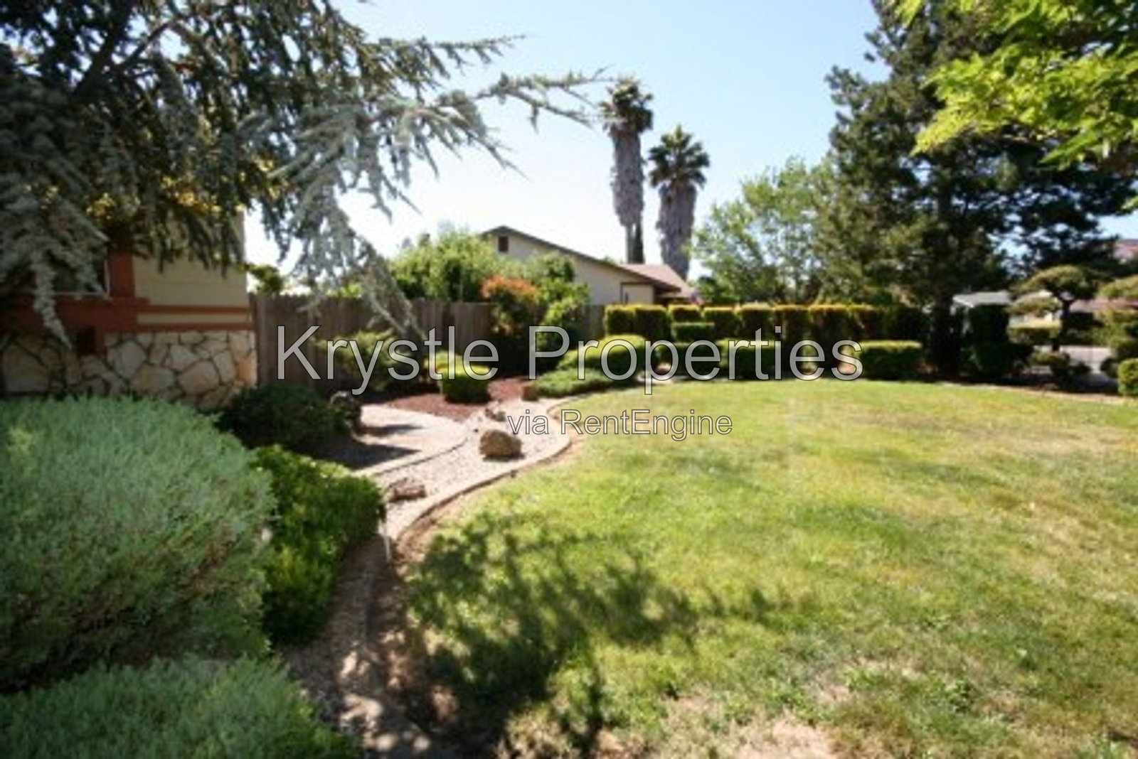 Gallery Image 11