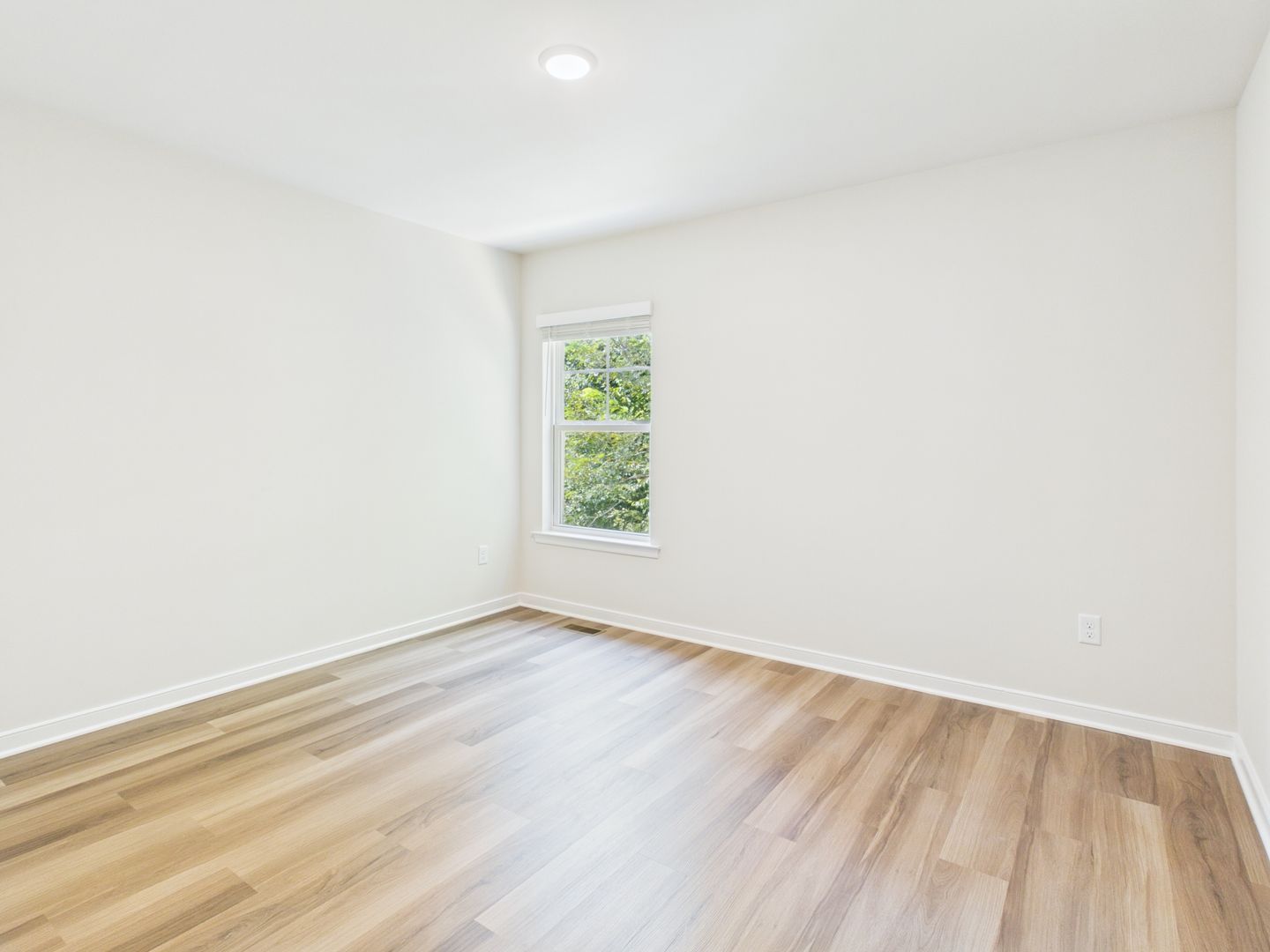 Gallery Image 19