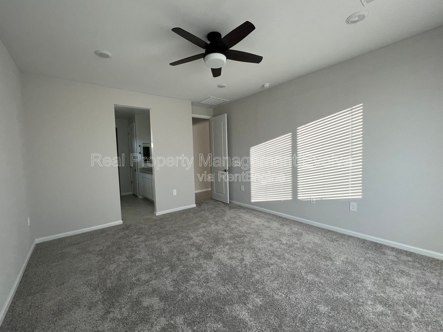 Gallery Image 16
