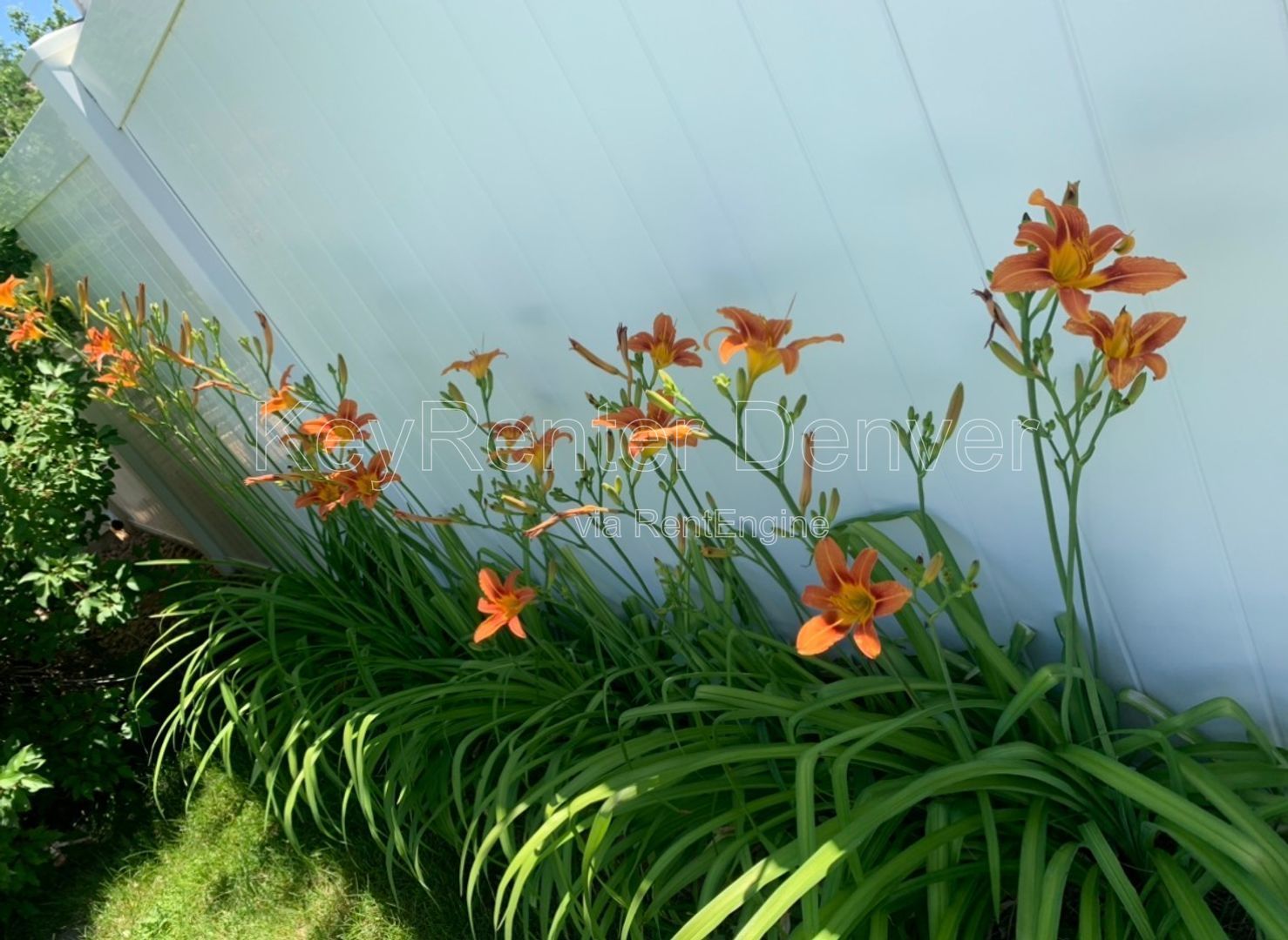 Gallery Image 14