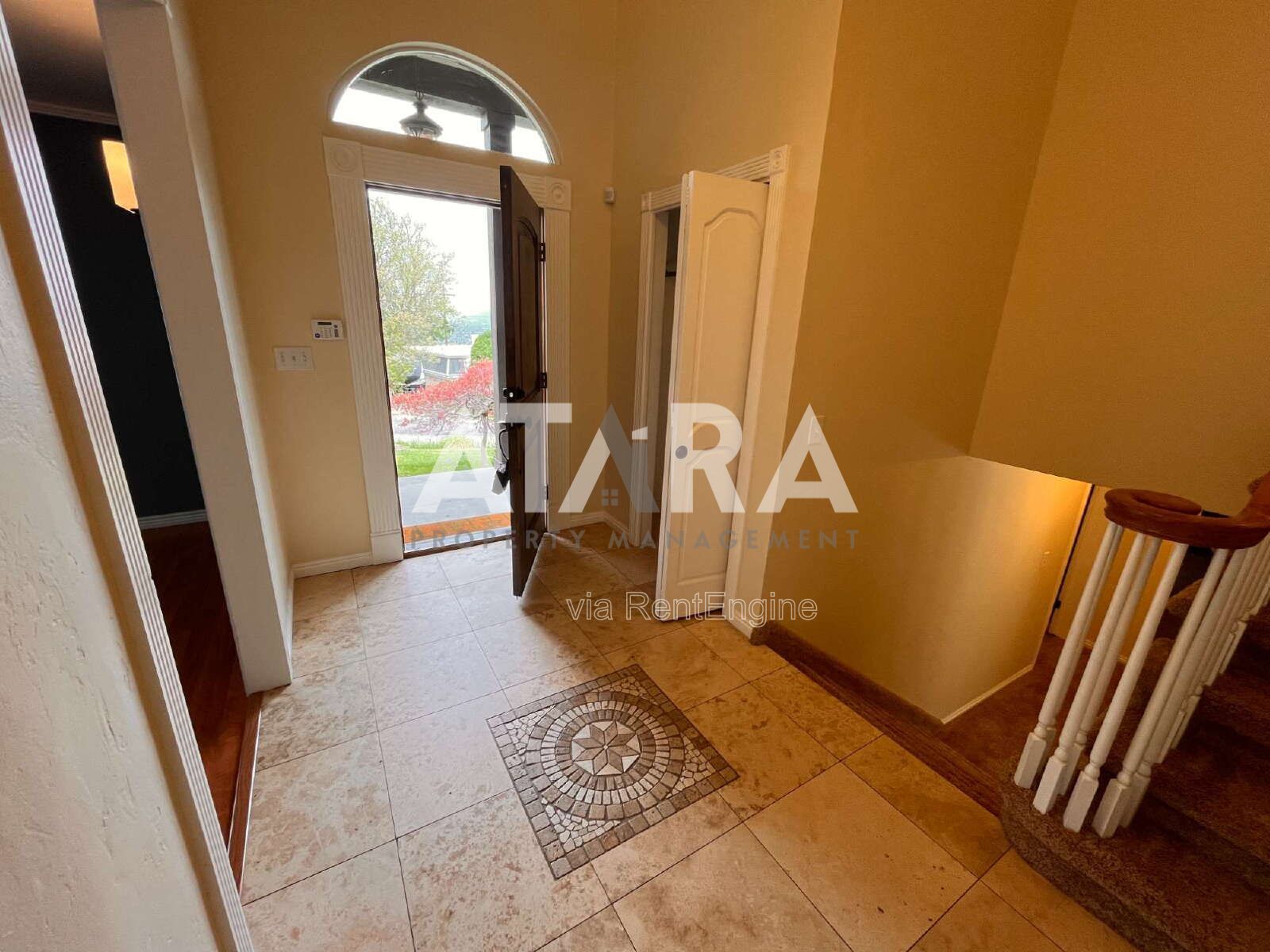 Gallery Image 8