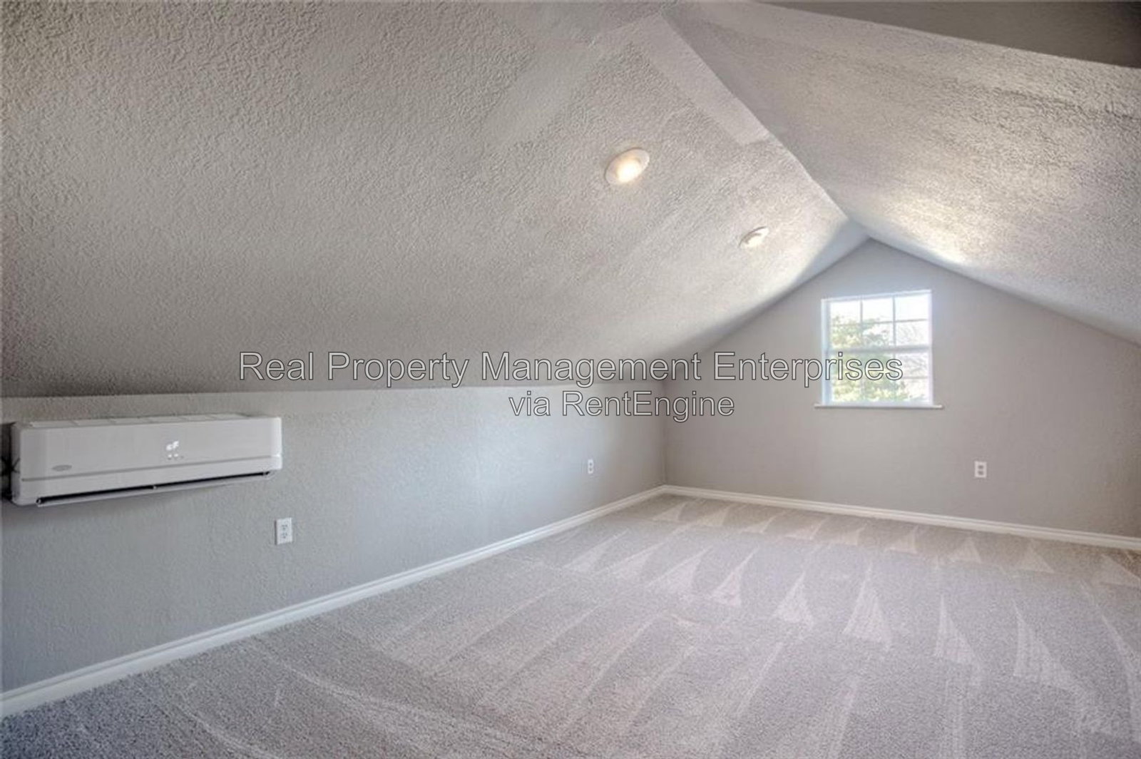 Gallery Image 19